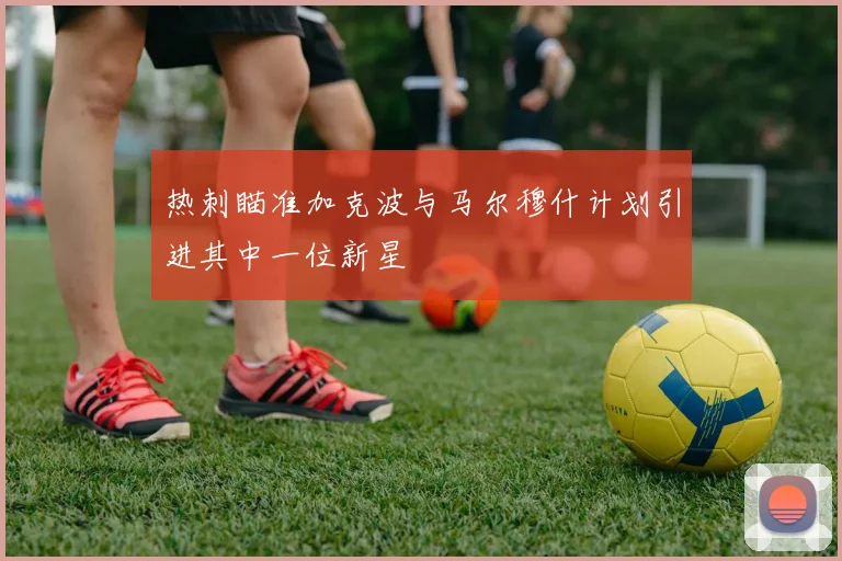 热刺瞄准加克波与马尔穆什计划引进其中一位新星